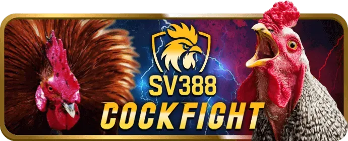 Chương trình đại lý ip88 code